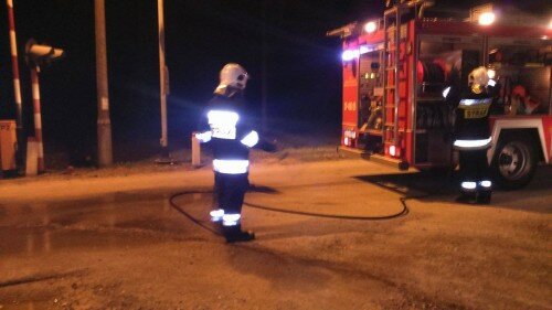 12952932_889484291162720_2031018095_o