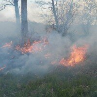 Pożar trawy i trzciny na ul. Przemysłowej w Mogilnie
