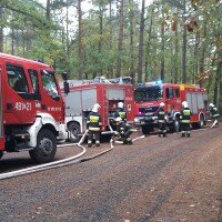 Ćwiczenia kompanijne „Las 2016”